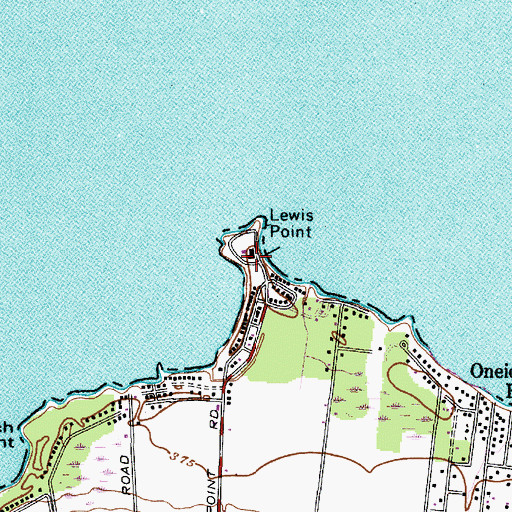 Topographic Map of Lewis Point, NY