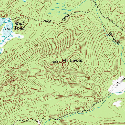 Topographic Map of Mount Lewis, NY