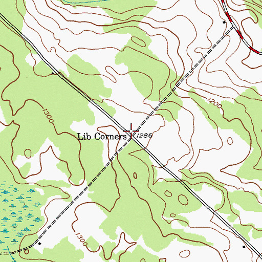 Topographic Map of Lib Corners, NY