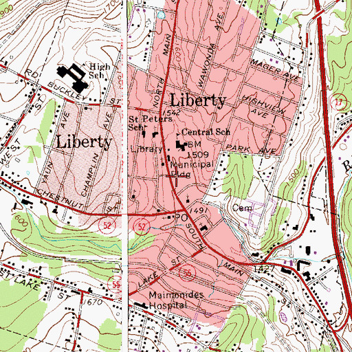 Topographic Map of Liberty, NY
