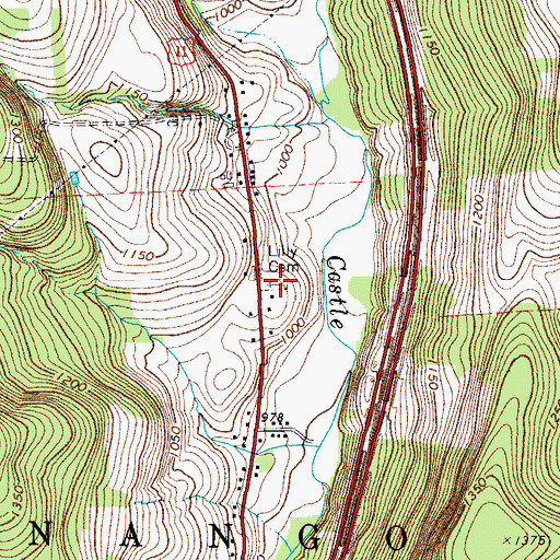 Topographic Map of Lilly Cemetery, NY
