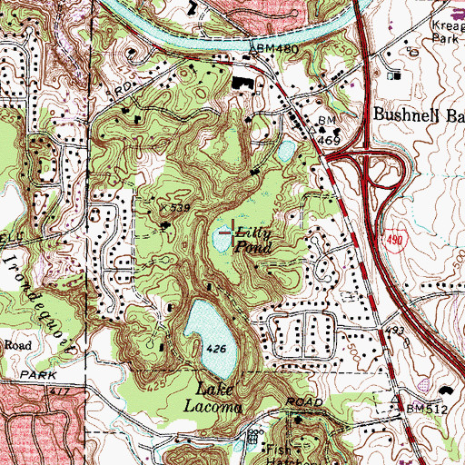 Topographic Map of Lilly Pond, NY