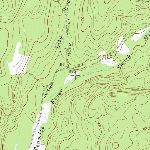 Topographic Map of Lily Brook, NY