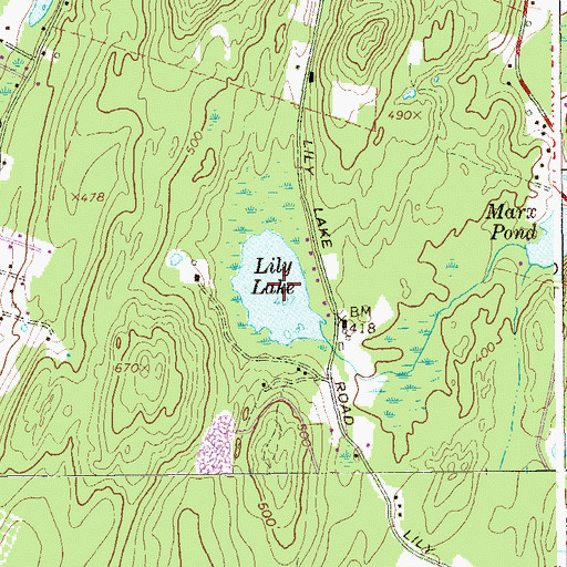 Topographic Map of Lily Lake, NY