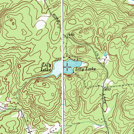 Topographic Map of Lily Lake, NY