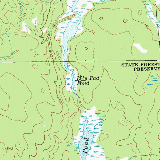 Topographic Map of Lily Pod Pond, NY
