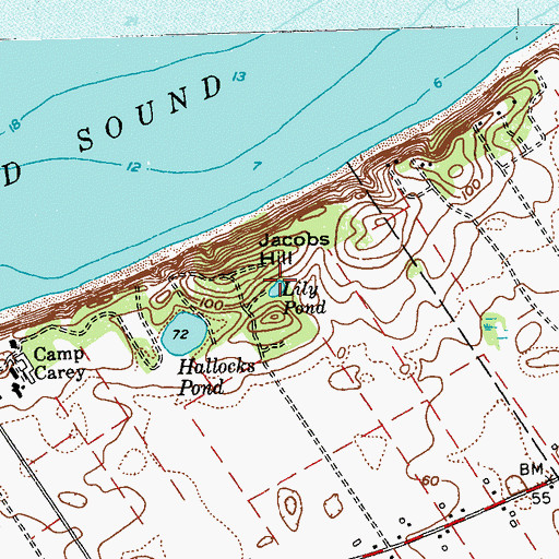 Topographic Map of Lily Pond, NY