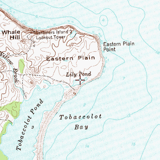 Topographic Map of Lily Pond, NY
