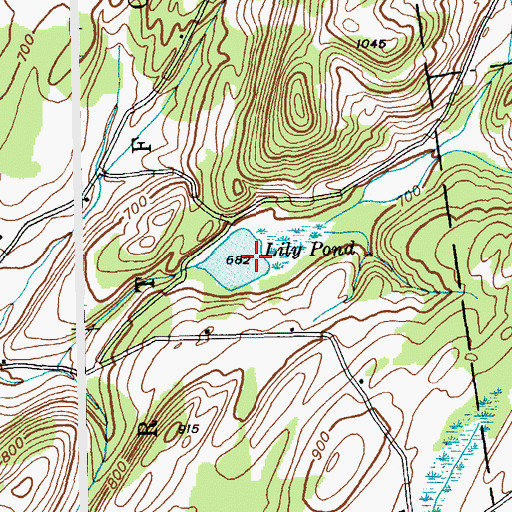Topographic Map of Lily Pond, NY