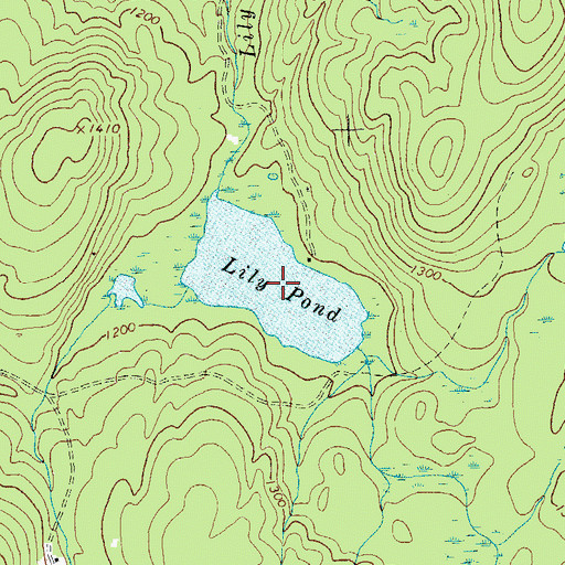 Topographic Map of Lily Pond, NY