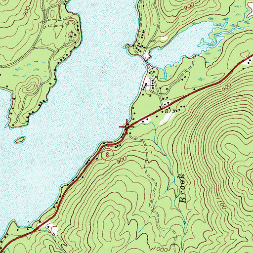 Topographic Map of Lily Pond Brook, NY