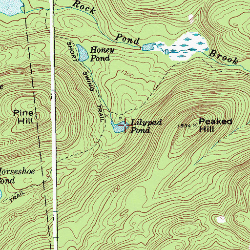 Topographic Map of Lilypad Pond, NY