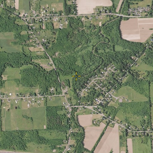 Aerial/Satellite Image of Limestone Creek, NY