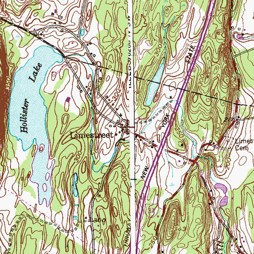 Topographic Map of Limestreet, NY