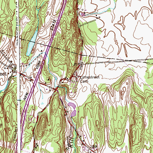 Topographic Map of Limestreet Cemetery, NY