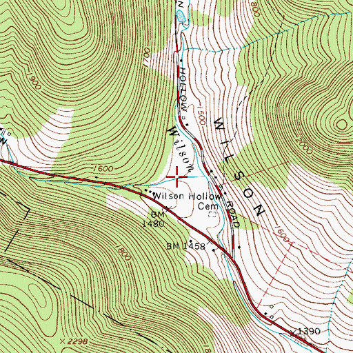 Topographic Map of Lindsley Hollow, NY