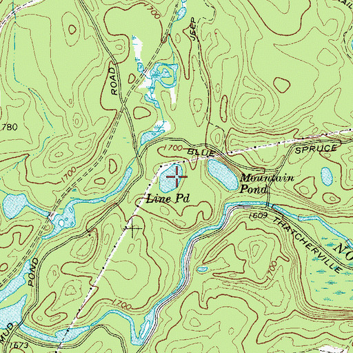 Topographic Map of Line Pond, NY
