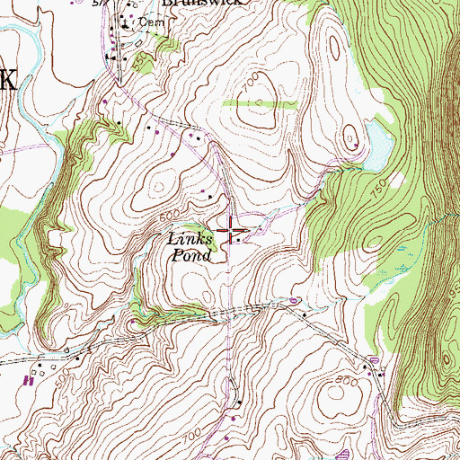 Topographic Map of Links Pond, NY