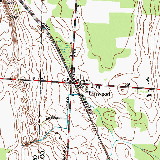 Topographic Map of Linwood, NY