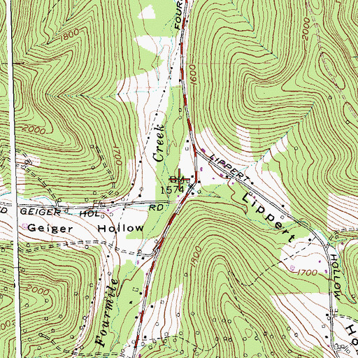 Topographic Map of Lippert Hollow, NY
