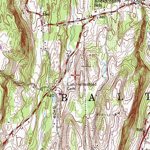 Topographic Map of Lish Homestead Cemetery, NY