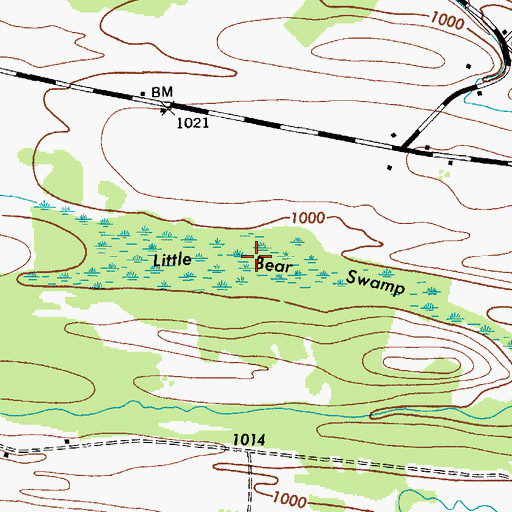 Topographic Map of Little Bear Swamp, NY