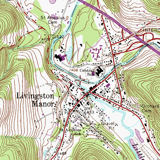 Topographic Map of Little Beaver Kill, NY
