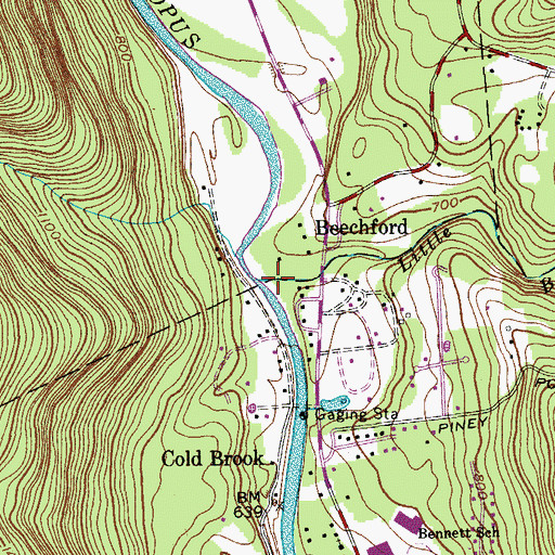 Topographic Map of Little Beaver Kill, NY