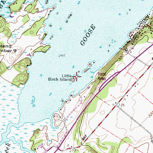 Topographic Map of Little Birch Island, NY