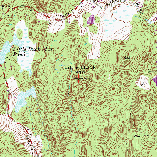 Topographic Map of Little Buck Mountain, NY
