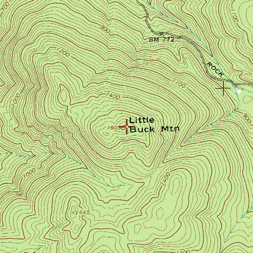 Topographic Map of Little Buck Mountain, NY