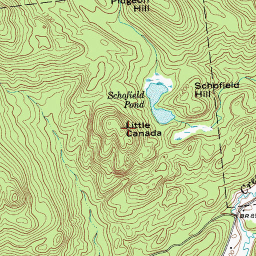 Topographic Map of Little Canada, NY