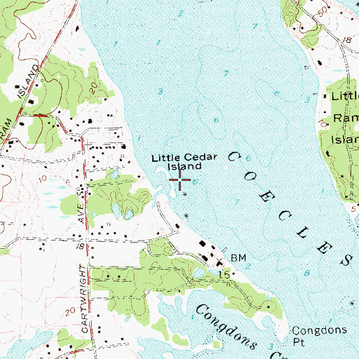 Topographic Map of Little Cedar Island, NY