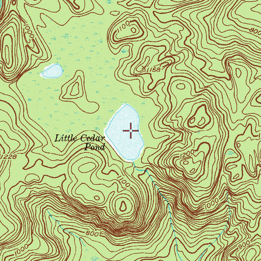 Topographic Map of Little Cedar Pond, NY