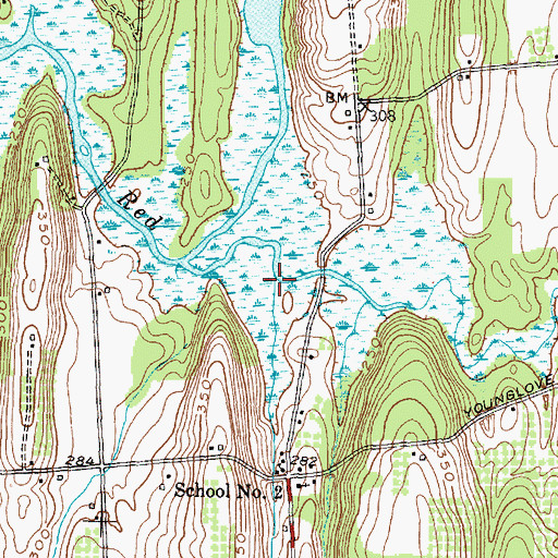Topographic Map of Little Creek, NY