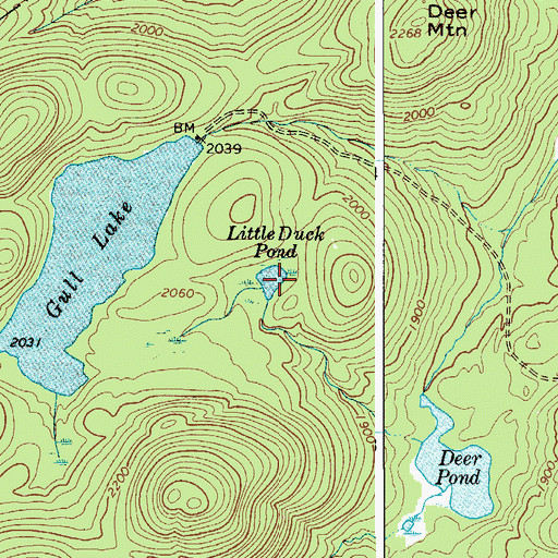 Topographic Map of Little Duck Pond, NY