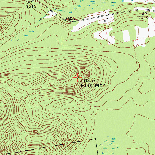 Topographic Map of Little Ellis Mountain, NY
