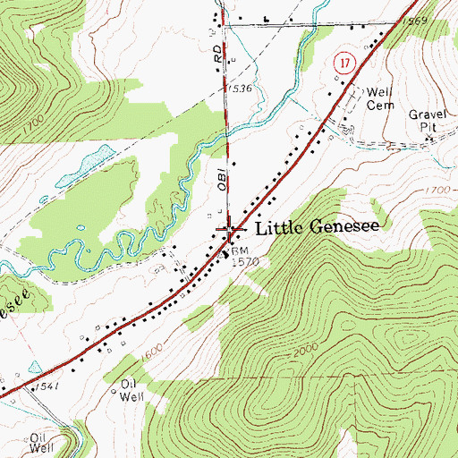 Topographic Map of Little Genesee, NY
