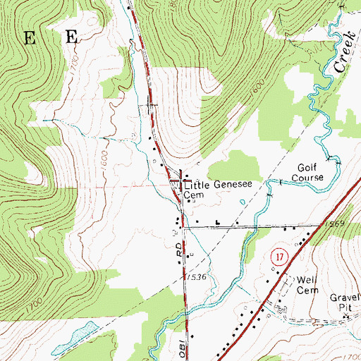Topographic Map of Little Genesee Cemetery, NY