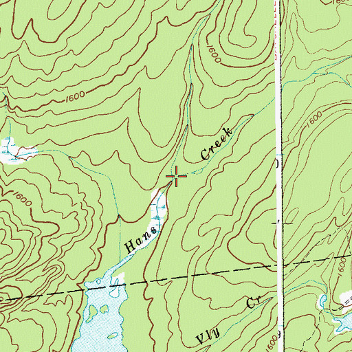 Topographic Map of Little Hans Creek, NY