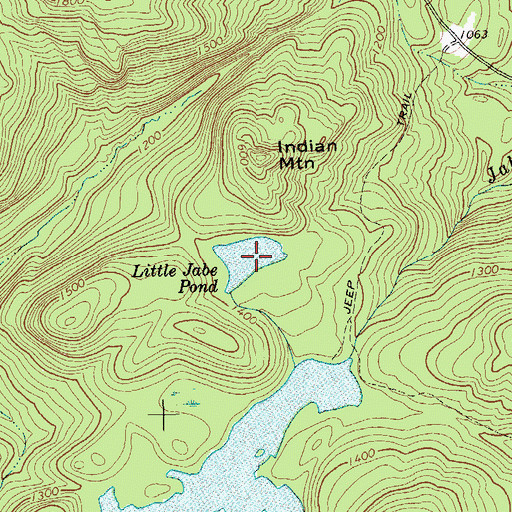 Topographic Map of Little Jabe Pond, NY