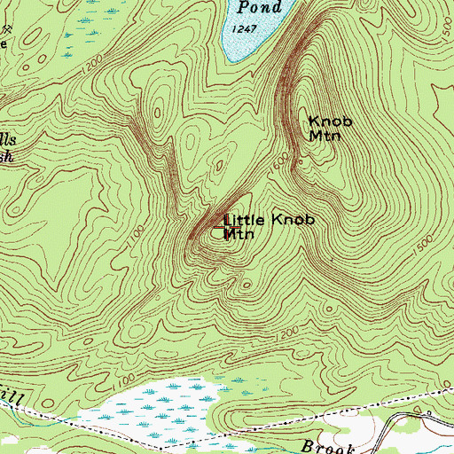 Topographic Map of Little Knob Mountain, NY