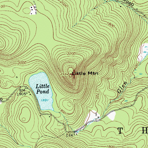 Topographic Map of Little Mountain, NY
