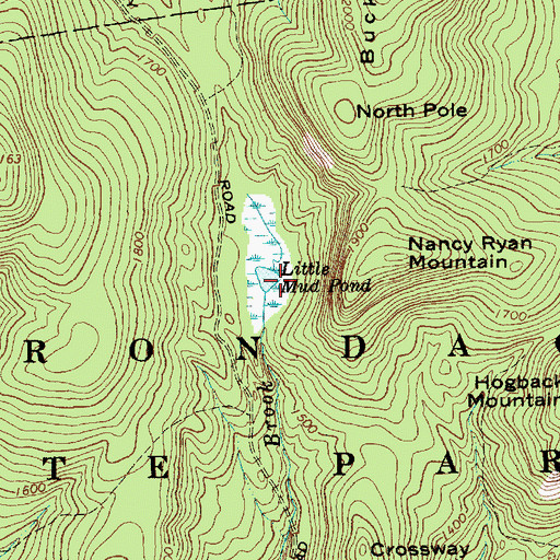 Topographic Map of Little Mud Pond, NY
