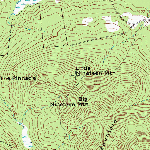 Topographic Map of Little Nineteen Mountain, NY