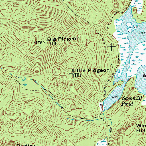 Topographic Map of Little Pidgeon Hill, NY