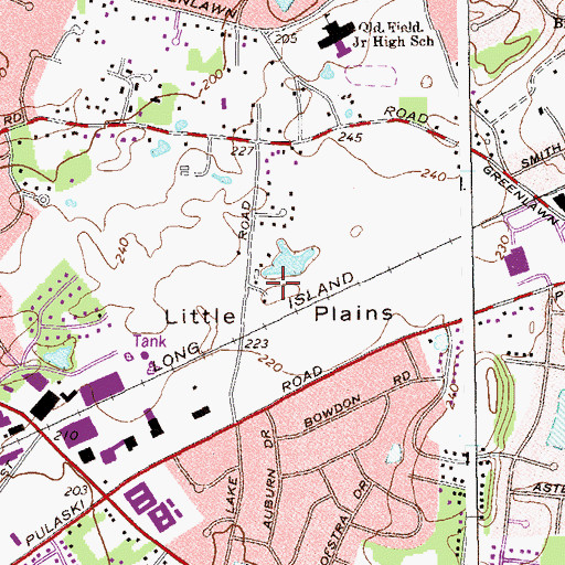 Topographic Map of Little Plains, NY