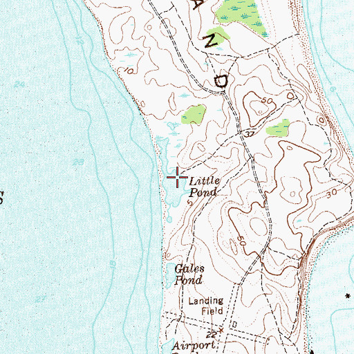 Topographic Map of Little Pond, NY