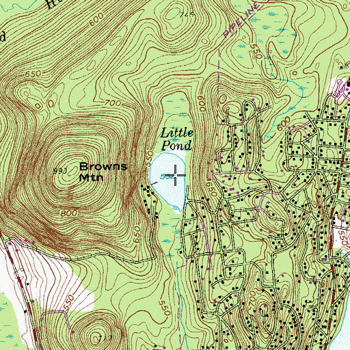 Topographic Map of Little Pond, NY