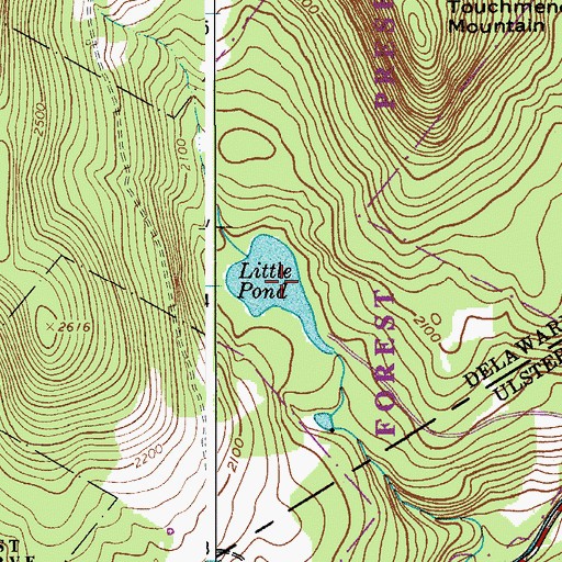 Topographic Map of Little Pond, NY